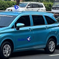 Para Pawang Burung Biru