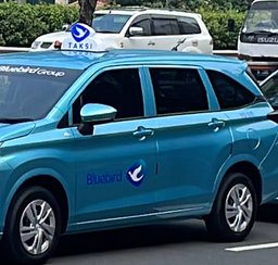 Para Pawang Burung Biru