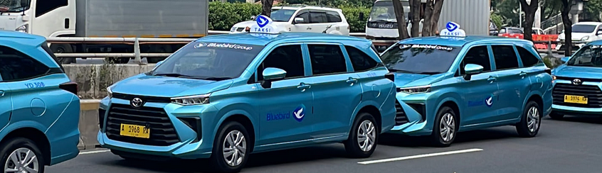 [Foto: bluebird.com]