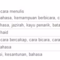 Stop Using “Bahasa”